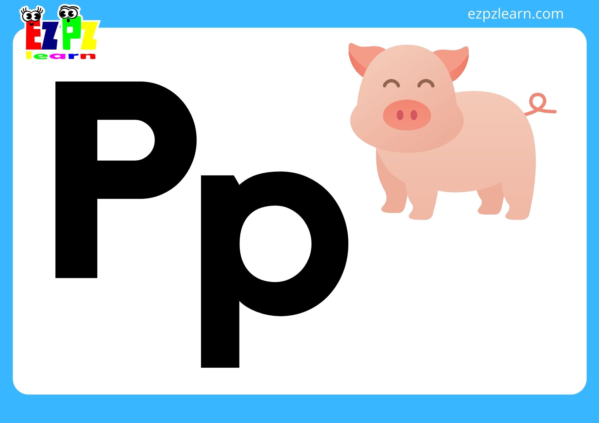 P pig